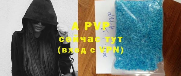 apvp Алзамай