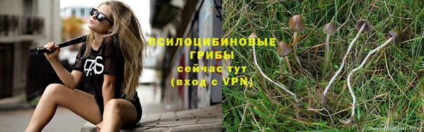 спайс Алексеевка