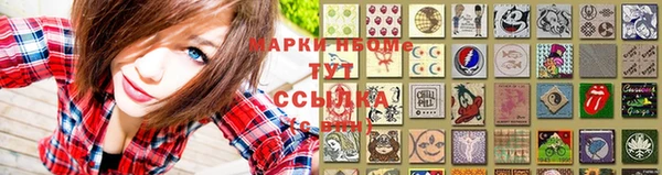 apvp Алзамай