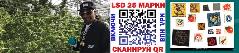 где продают наркотики  Лобня  Марки N-bome 1500мкг 