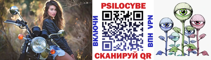 купить наркоту  Лобня  Псилоцибиновые грибы Psilocybe 