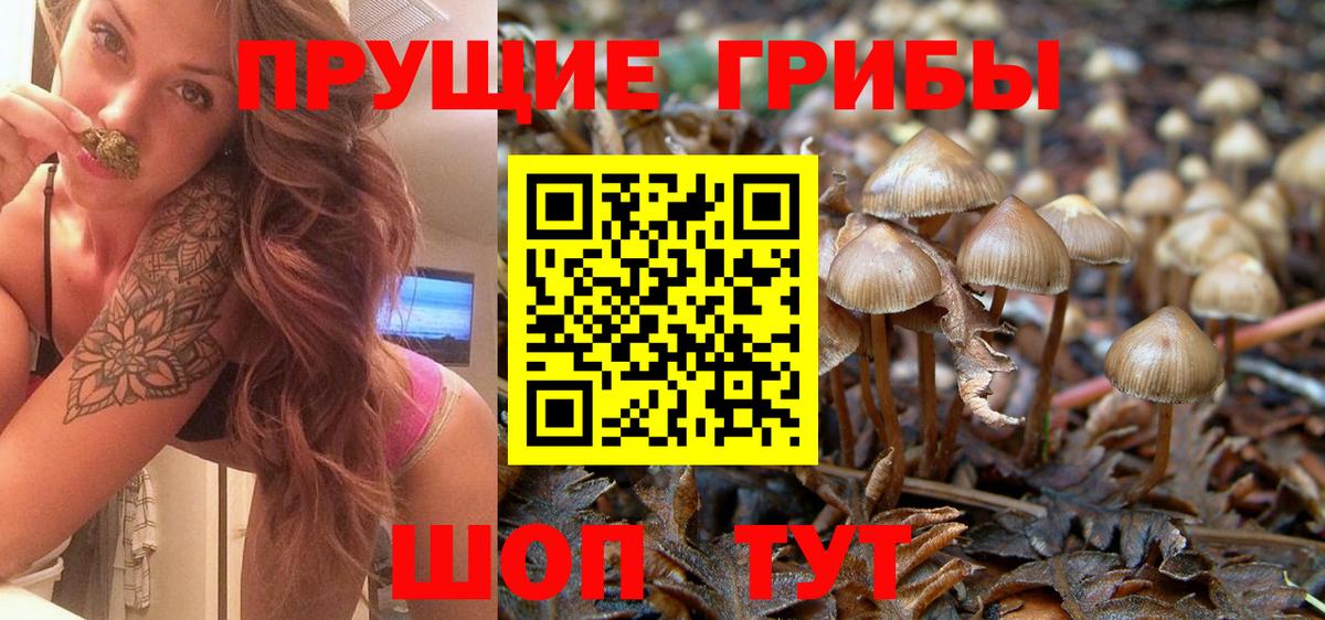 Галлюциногенные грибы Cubensis Лобня