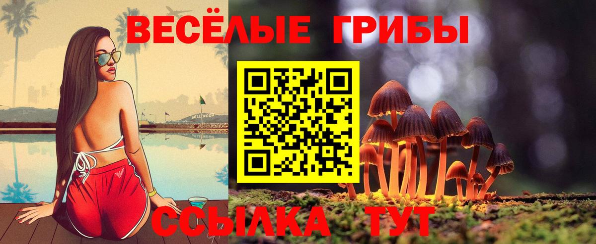 Лобня  Псилоцибиновые грибы MAGIC MUSHROOMS  Вход с VPN 