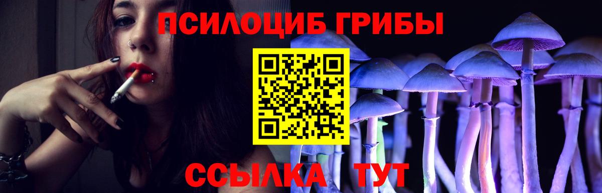 магазин    Лобня  Псилоцибиновые грибы прущие грибы  Псилоцибиновые грибы ЛСД 
